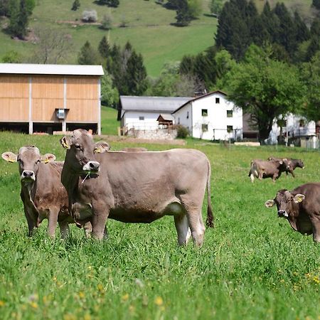 Ekoloska Turisticna Kmetija Pri Lovrcu Tolmin Luaran gambar